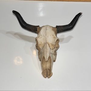 Western decor long horns paper weight DECOR looks great on any Shelf